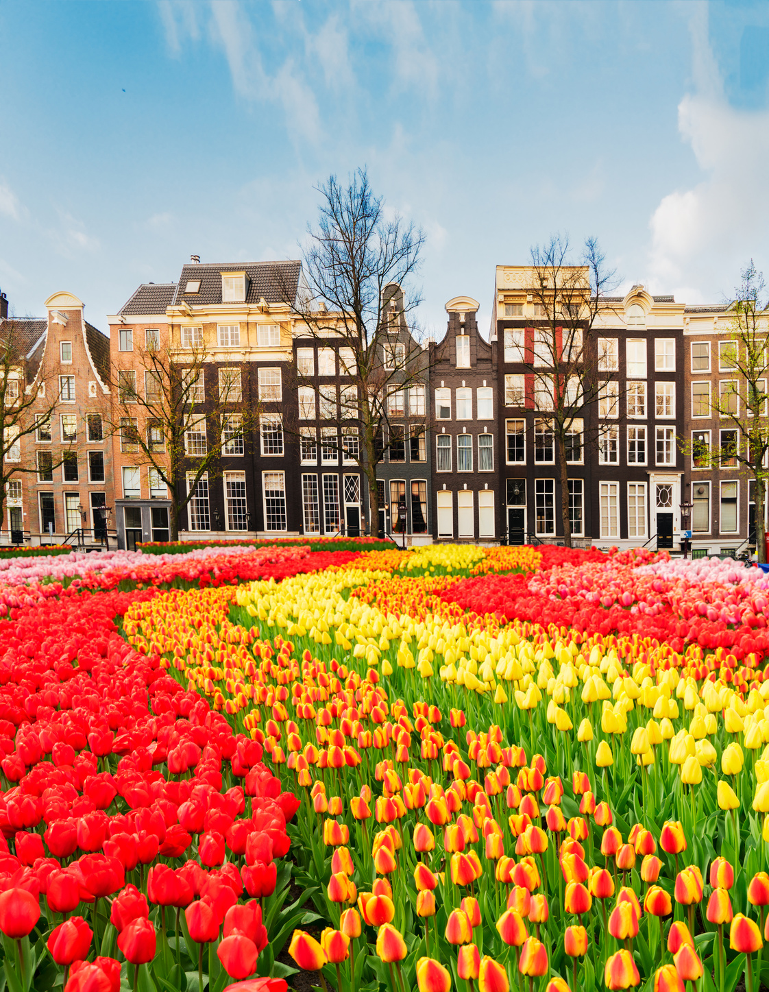 Houses of Amsterdam